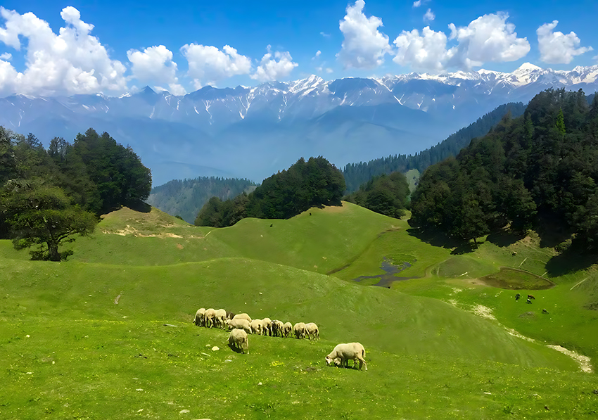 Chandrakhani Pass Trek - 🏔️