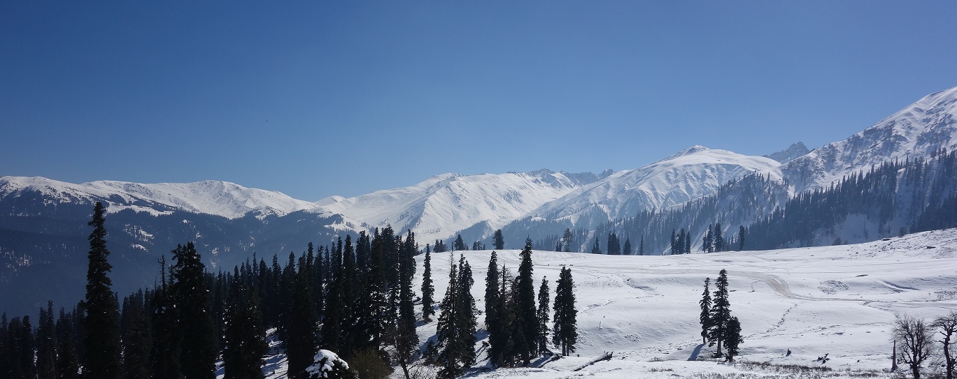 Manali Deo Tibba Base